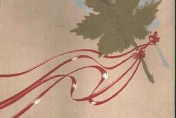 老图书–《忆沂蒙》电子版合集