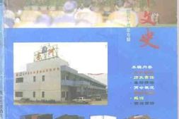 老图书–《恩平文史_创刊10周年专辑》电子版合集