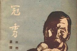 老图书–《戎冠秀》电子版合集
