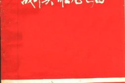 老图书–《战斗英雄龙世昌》电子版合集