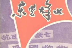 老图书–《抗战中的华侨及港澳同胞专辑_东莞烽火_第8册》电子版合集