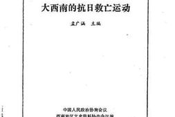 老图书–《抗战时期的大西南丛书_大西南的抗日救亡运动》电子版合集