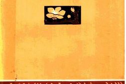 老图书–《抗日战争时期的广东妇女运动》电子版合集