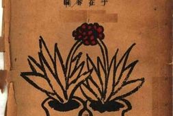 老图书–《文字的自由书》电子版合集