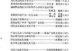 老图书–《文山壮族苗族自治州文史资料选辑_第8辑》电子版合集