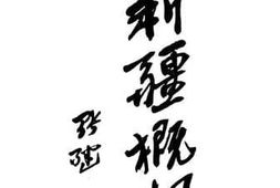 老图书–《新疆概览》电子版合集