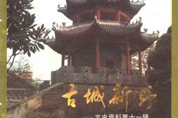 老图书–《新野文史资料_第11辑_古城新野》电子版合集