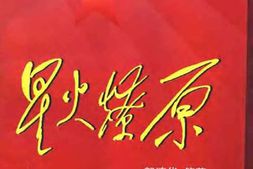 老图书–《星火燎原_第11卷》电子版合集