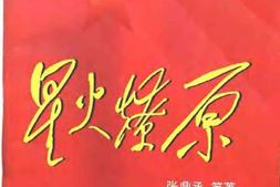老图书–《星火燎原_第16卷》电子版合集