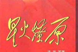老图书–《星火燎原_第21卷》电子版合集