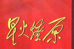 老图书–《星火燎原_第3卷》电子版合集