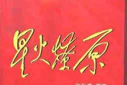 老图书–《星火燎原_第4卷》电子版合集