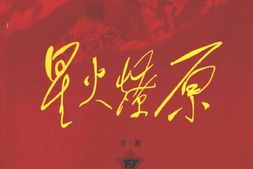 老图书–《星火燎原全集_第19卷》电子版合集