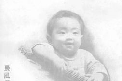 老期刊–《晨风》(上海)1933-1935年合集 电子版