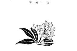 老图书–《曼殊遗著》电子版合集
