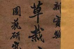老图书–《最新实验_花草栽培法》电子版合集