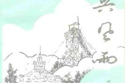 老图书–《枣庄文史资料_第19辑（中兴风雨）》电子版合集