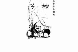 老图书–《柚子》电子版合集
