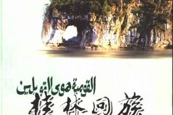 老图书–《桂林文史资料_第45辑_桂林回族》电子版合集
