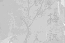 老期刊–《梅讯》(上海)1923-1931年合集 电子版