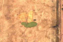 老图书–《樱海集》电子版合集