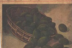 老期刊–《橄榄》(上海)1938-1939年合集 电子版
