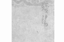 老图书–《残阳》电子版合集