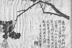 老报纸–《民立画报》(上海)1911-1911年合集 电子版