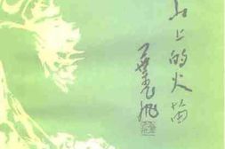 老图书–《江苏文史资料_第90辑_南通文史资料选辑_第15辑_高山上的火苗》电子版合集