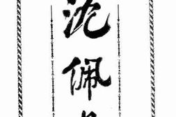 老图书–《沈佩贞》电子版合集