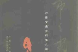 老图书–《沙市文史资料_第8辑(_沙市之光)》电子版合集