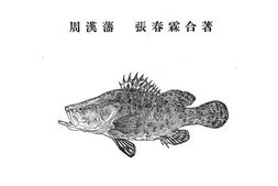老图书–《河北习见鱼类图说》电子版合集