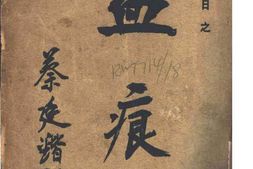 老图书–《淞沪抗日之血痕》电子版合集