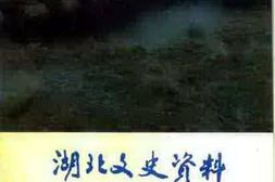 老图书–《湖北文史资料_1993年第1辑_总第42辑_葛洲坝枢纽工程史料专辑》电子版合集