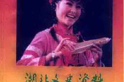老图书–《湖北文史资料_1996年第2辑_总第49辑_黄梅戏史料专辑》电子版合集