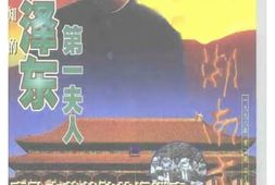老图书–《湖南文史__总第80期》电子版合集