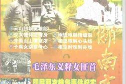 老图书–《湖南文史_总第84期》电子版合集