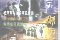 老图书–《湖南文史_总第86期》电子版合集