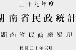 老图书–《湖南省民政统计（二十九年度）》电子版合集