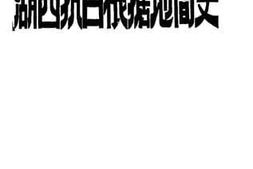 老图书–《湖西抗日根据地简史》电子版合集