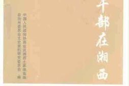 老图书–《湘西文史资料_总第40辑（外籍干部在湘西）》电子版合集