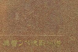 老图书–《満洲戦線ペン畫集》电子版合集
