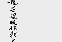 老图书–《滇西龙芒遮畹作战之研究》电子版合集
