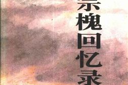 老图书–《王宗槐回忆录》电子版合集