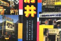 老图书–《王府井》电子版合集