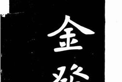 老图书–《王金发》电子版合集