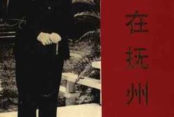 老图书–《王震在抚州》电子版合集