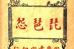 老图书–《琵琶怨——扎记小说》电子版合集