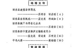 老图书–《田东文史资料_第1辑》电子版合集