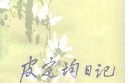 老图书–《皮定均日记》电子版合集